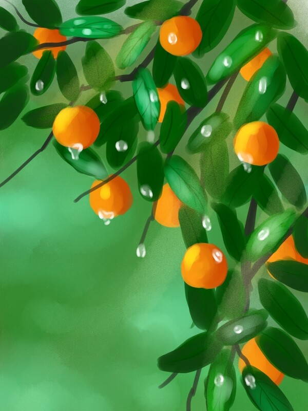 清新风手绘橘子插画背景