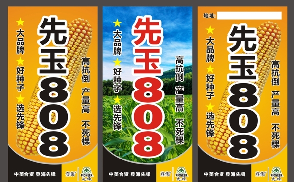 先玉808樹貼