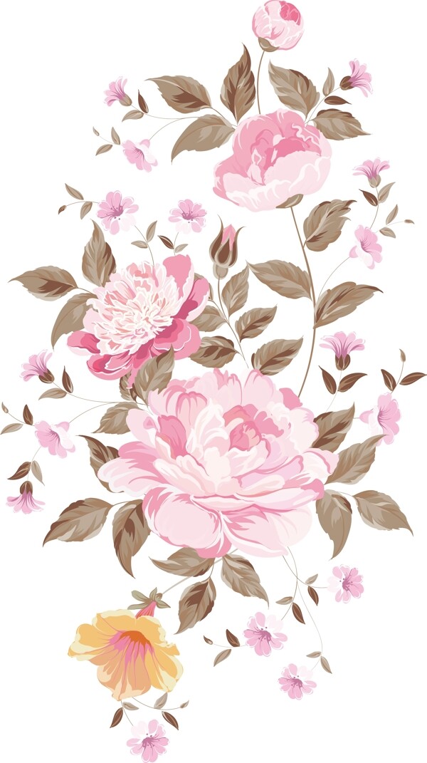 花卉