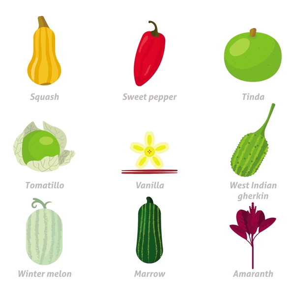 各种蔬菜食物插图