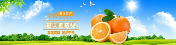 藍(lán)色草地背景臍橙全屏海報(bào)