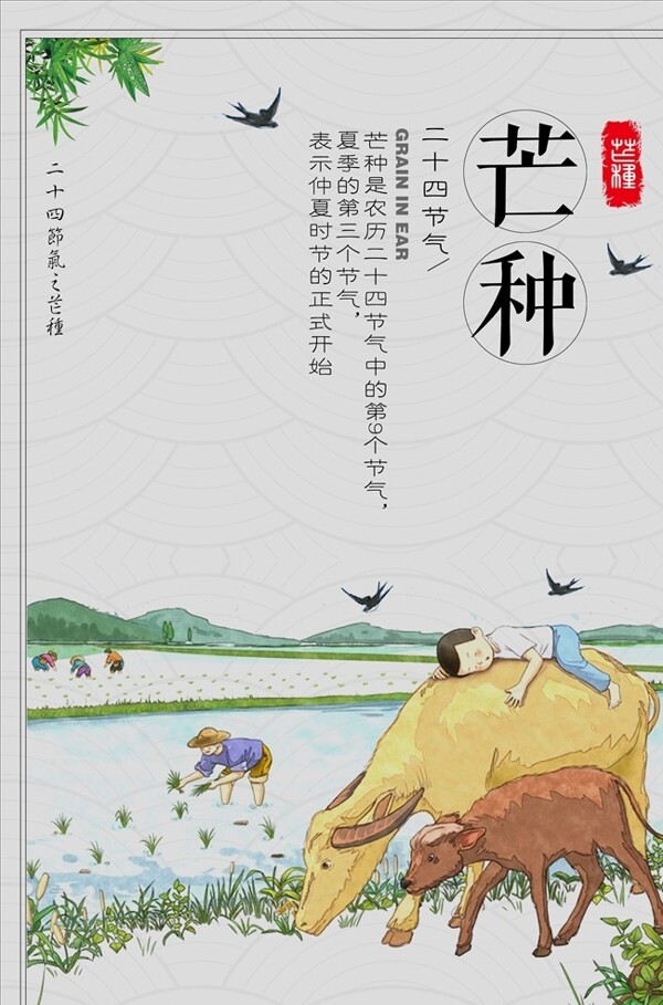 芒種