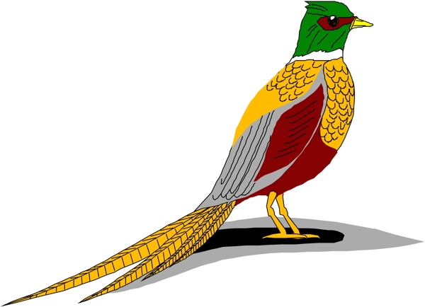 矢量逼真鳥類動物211
