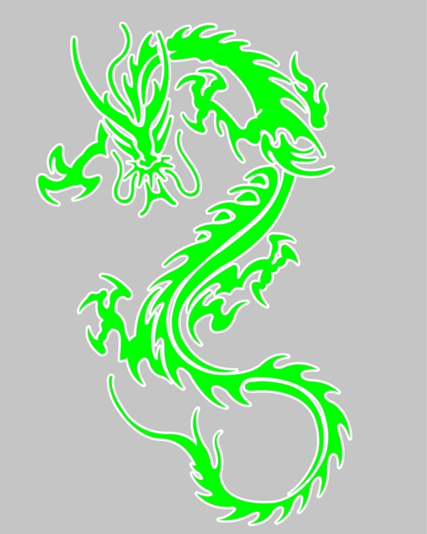 飛龍圖片