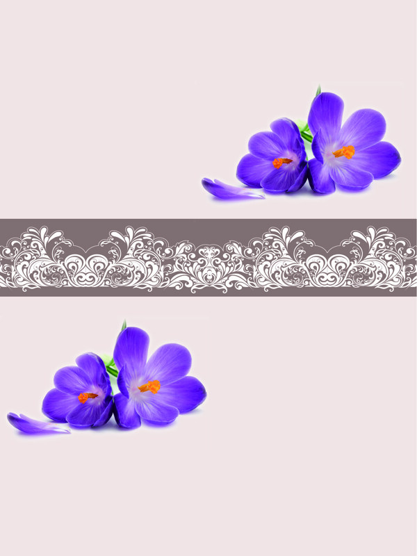 紫色喇叭花室内移门创意画