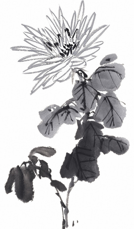 位圖時(shí)尚休閑女裝成熟優(yōu)雅女裝植物花卉免費(fèi)素材