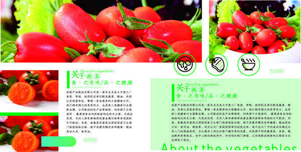 小清新绿色食品画册