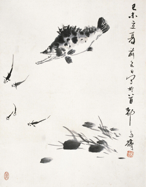 魚樂圖圖片
