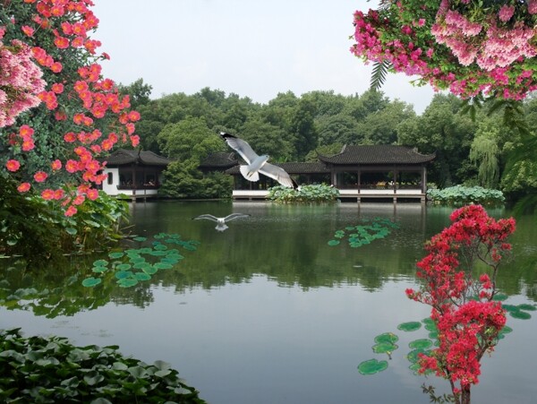 背景風(fēng)景