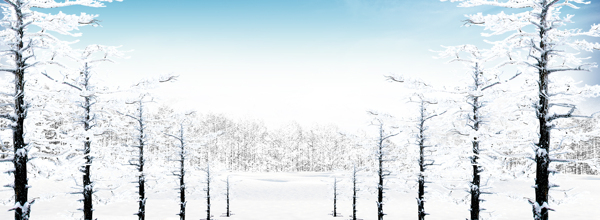 冬季森林banner