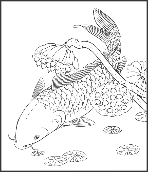 魚