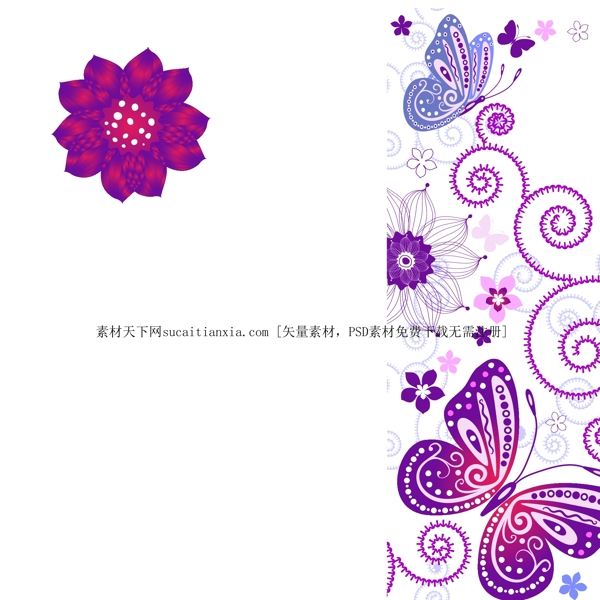紫色蝴蝶花纹