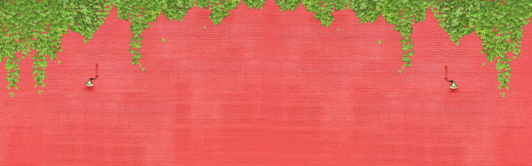 綠色植物banner背景素材