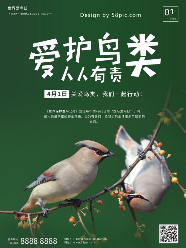 爱护鸟类人人有责世界爱鸟日公益宣传海报