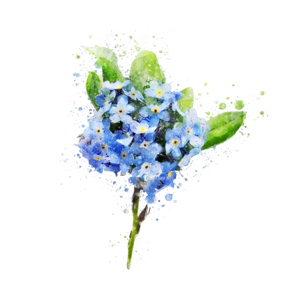 手绘蓝色小花卉元素