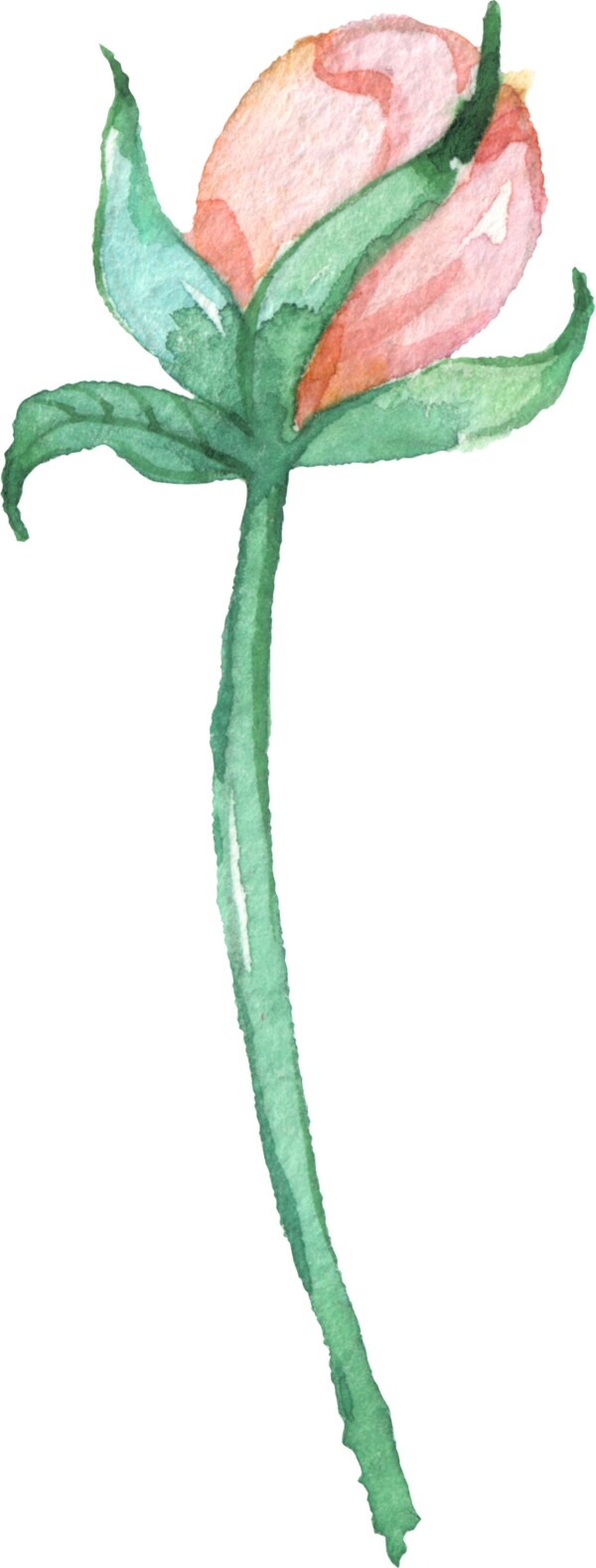 淡彩手绘植物带通道