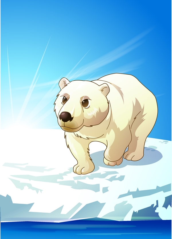 北极熊5