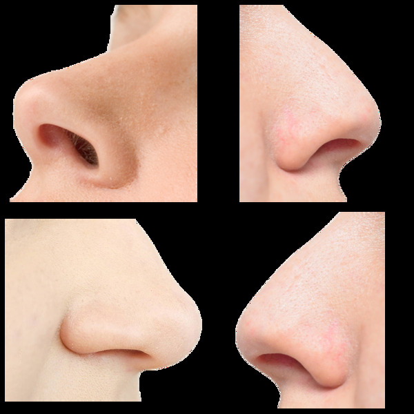 各种鼻子免抠png透明图层素材
