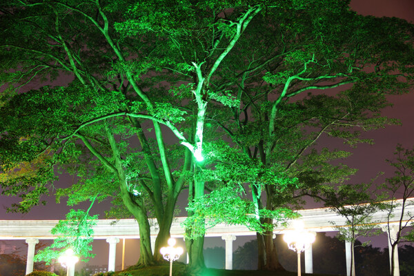 公園夜景圖片