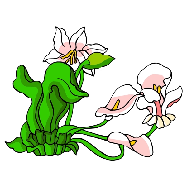 花卉古典插畫