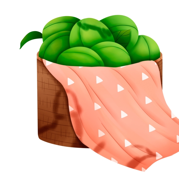 篮子里的西瓜插画