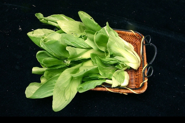 菜心圖片