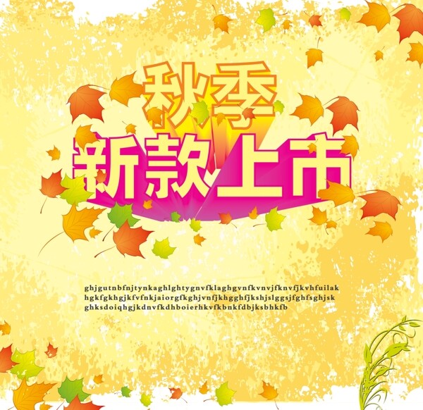新款上市圖片