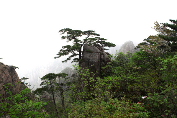 旅游景區(qū)風(fēng)景圖片