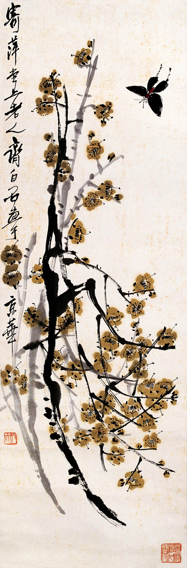梅香蝶來圖片