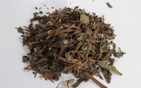 墨旱蓮圖片