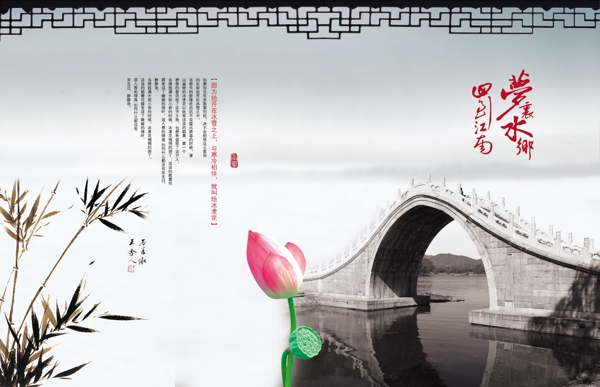 橋畔荷花圖片