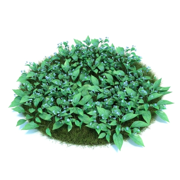 綠色植物