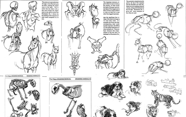 动物绘画的圣经图片