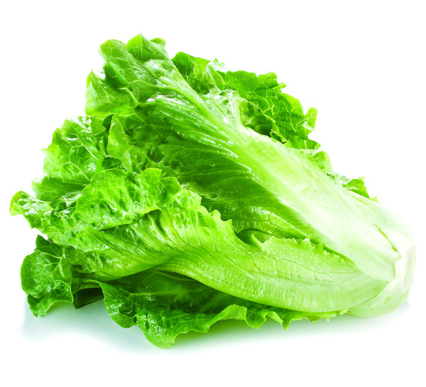 生菜圖片