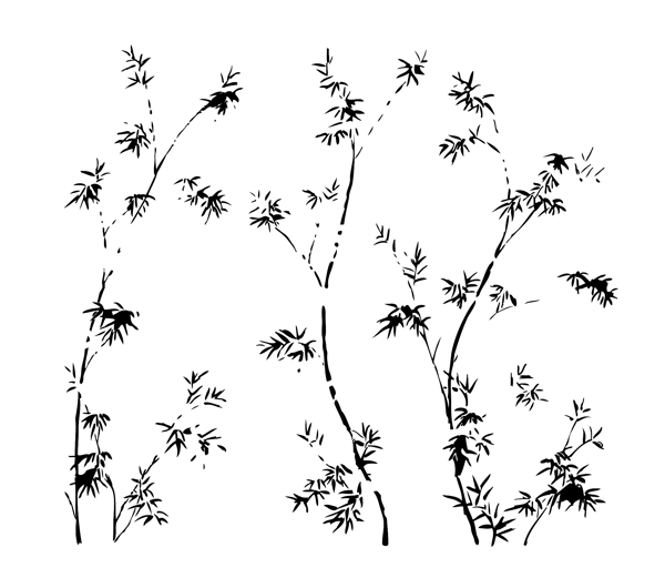 竹子圖片