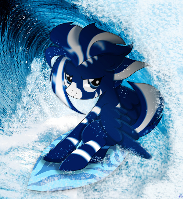 wildblue上網(wǎng)