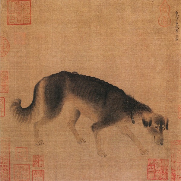尋食的狗