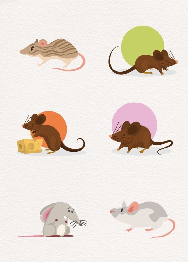 彩色创意设计老鼠