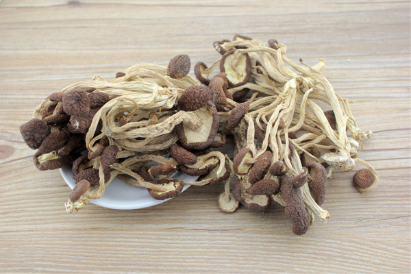 茶樹菇干
