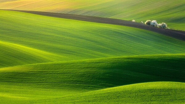北欧风景绿色草地