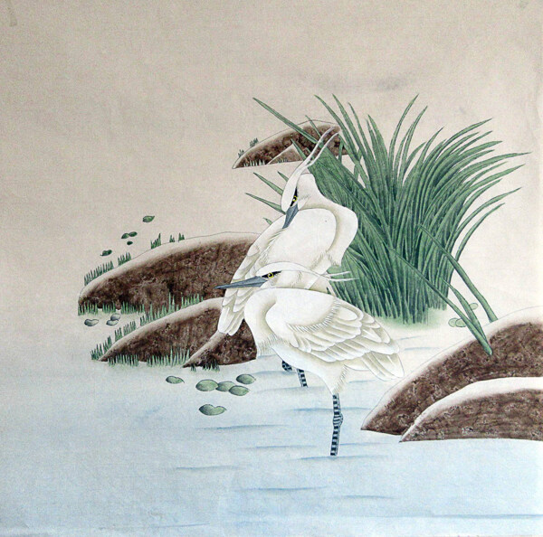 國畫工筆畫鳥
