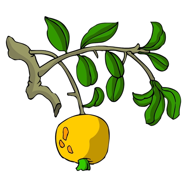花卉古典插畫