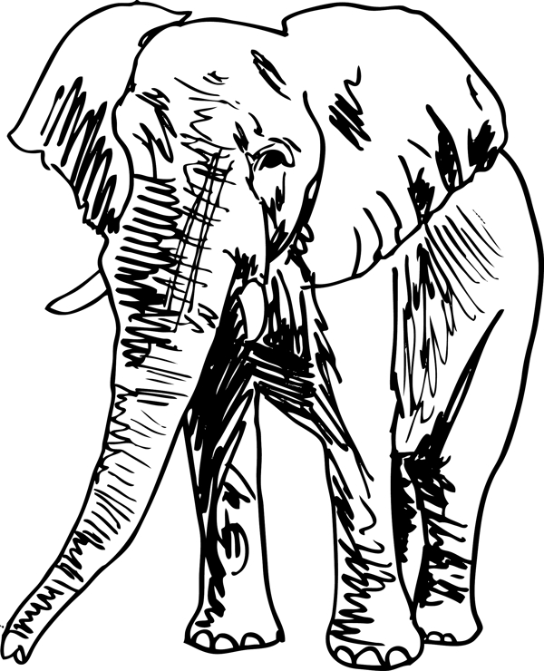 大象插畫矢量圖