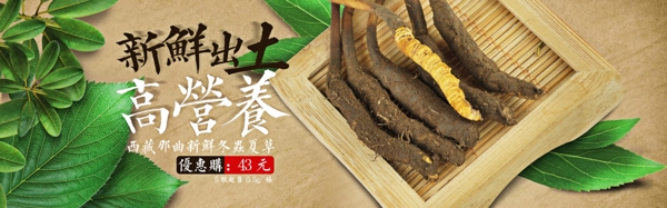 淘寶冬蟲夏草海報圖片