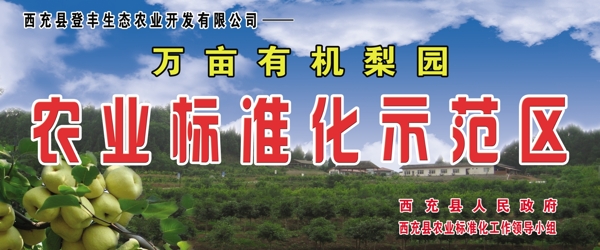 有機(jī)梨園圖片