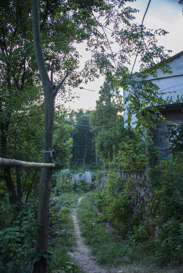 農(nóng)村小路