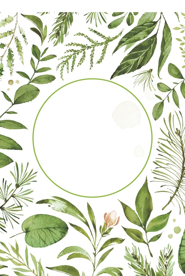灰绿色清新夏日热带绿植花卉时尚插画风背景