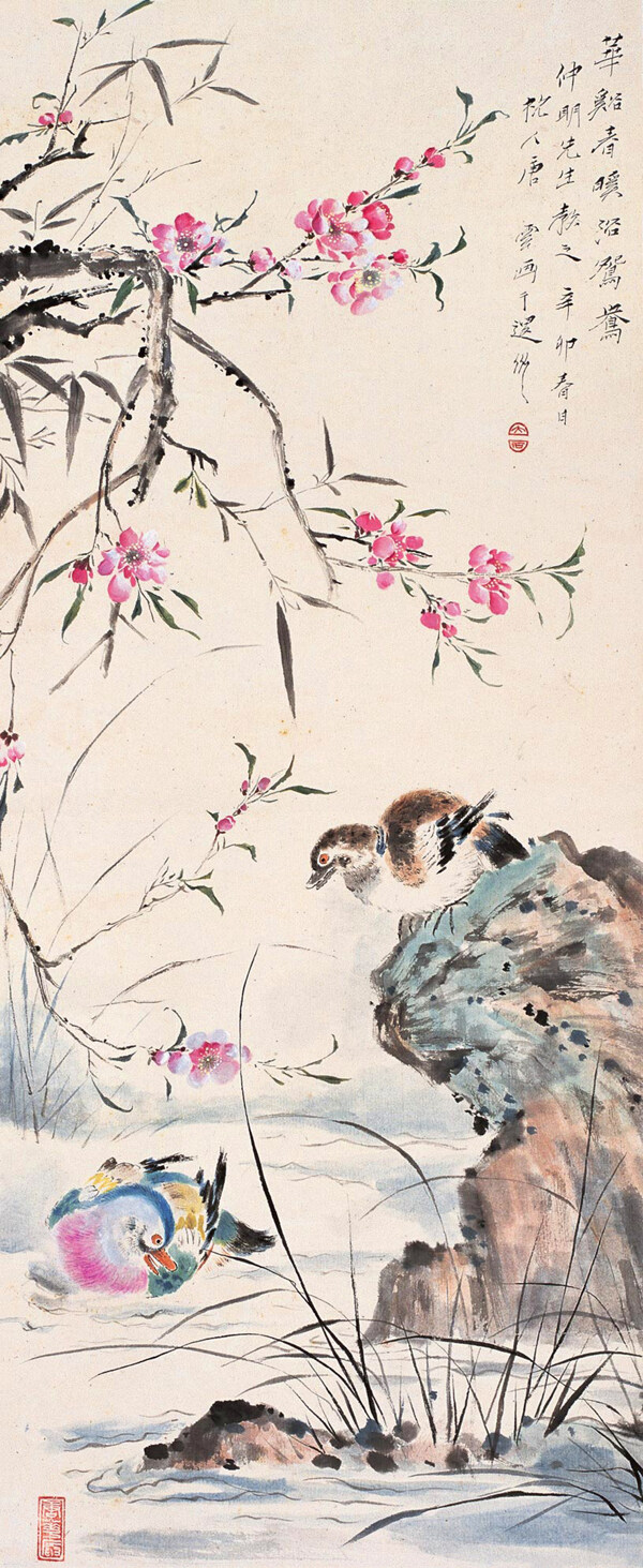 華溪春暖浴鴛鴦圖片