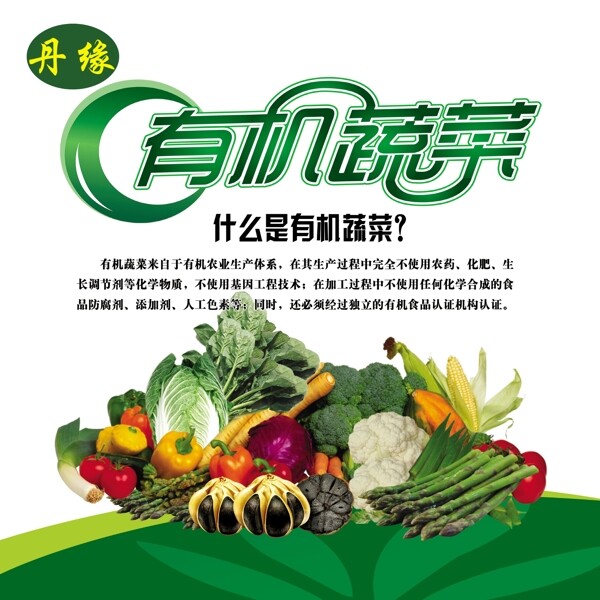綠色有機蔬菜