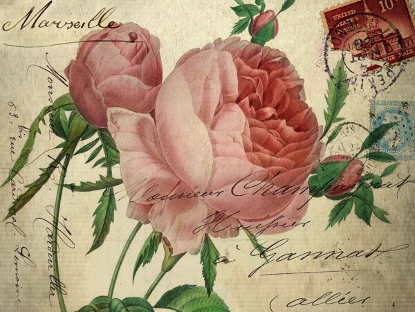 玫瑰花邮票邮戳图片